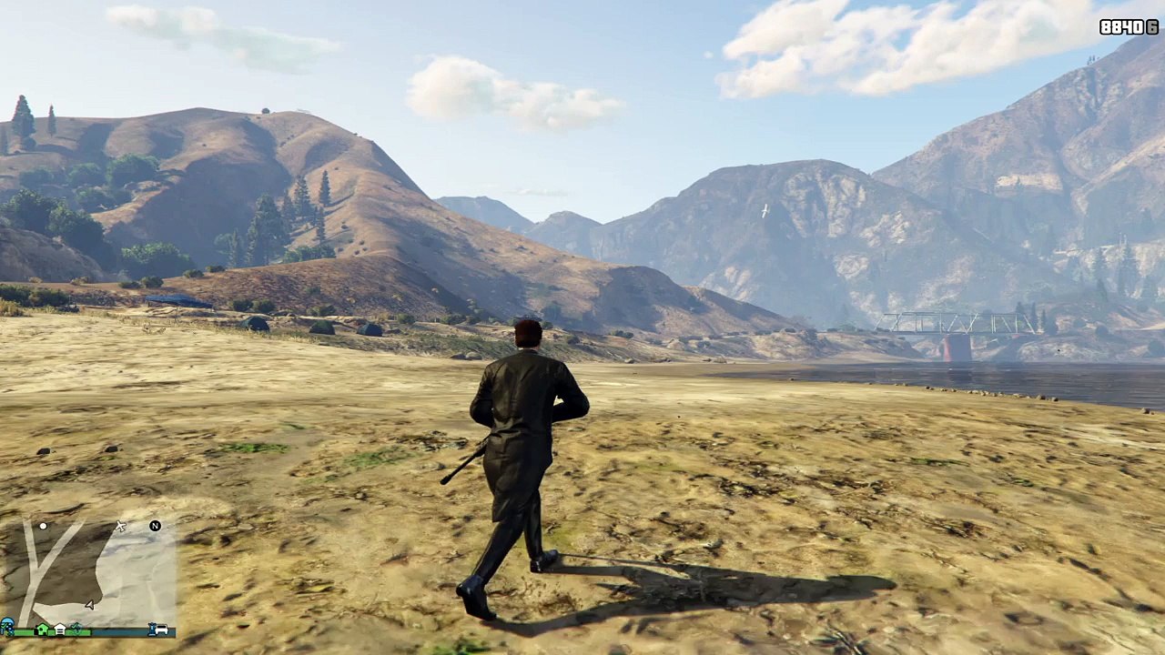 Mountain Snipe
