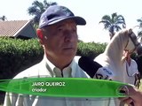 Mato Grosso Do Sul É Referência Nacional Criação De Cavalos Árabes