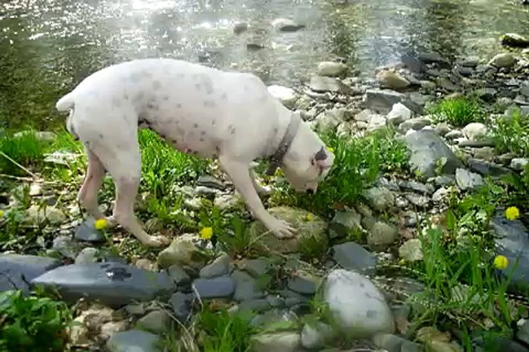 ..::Allie May::..i had to find you tell you i need you