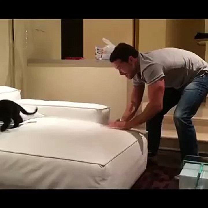 Vine: Black Panther Cub does the trust jump