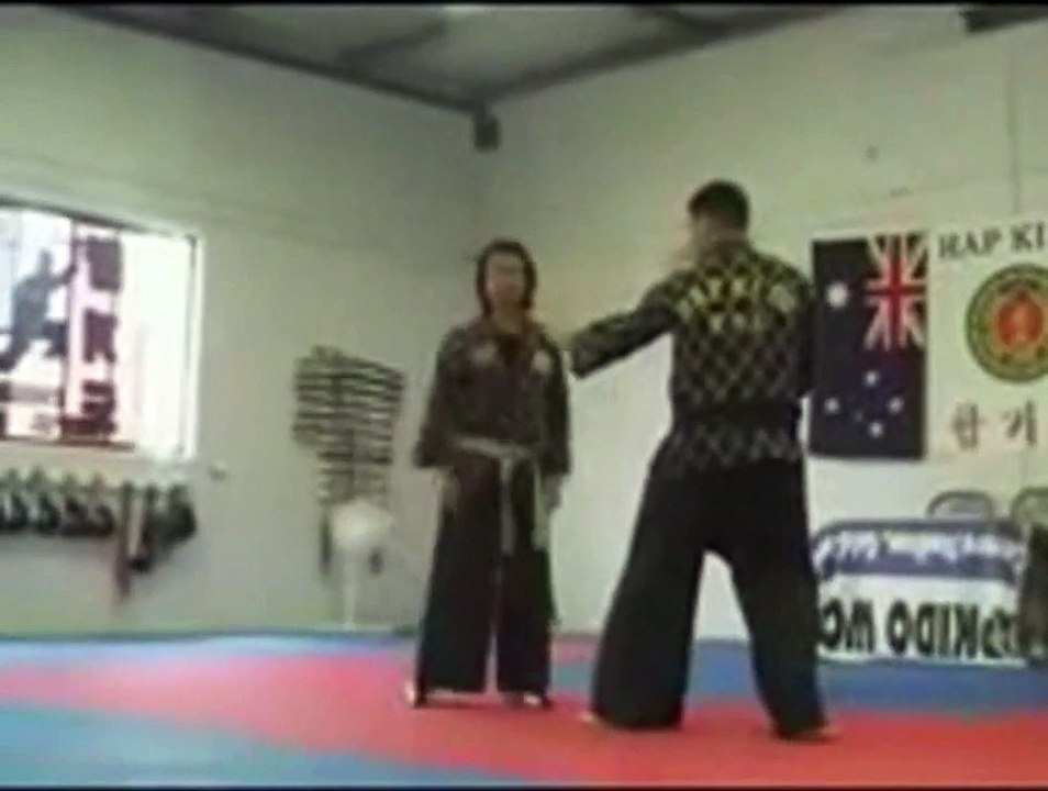 Hapkido: How To Block Punches