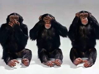 Happy Birthday, Dancing Chimps Style!