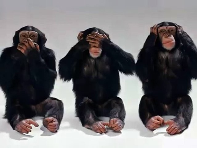 Happy Birthday, Dancing Chimps Style!