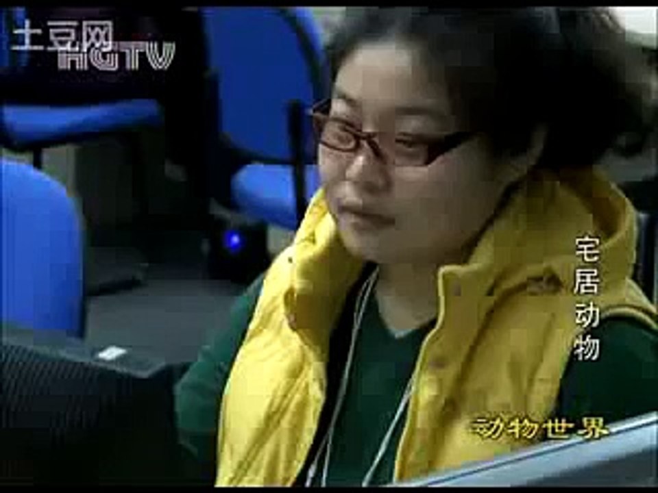 胡戈2010年新作-宅居动物.flv