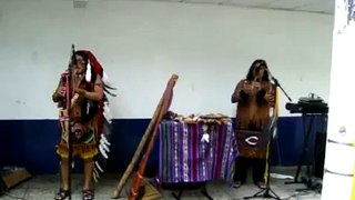Musica indigena peruana en Brasil