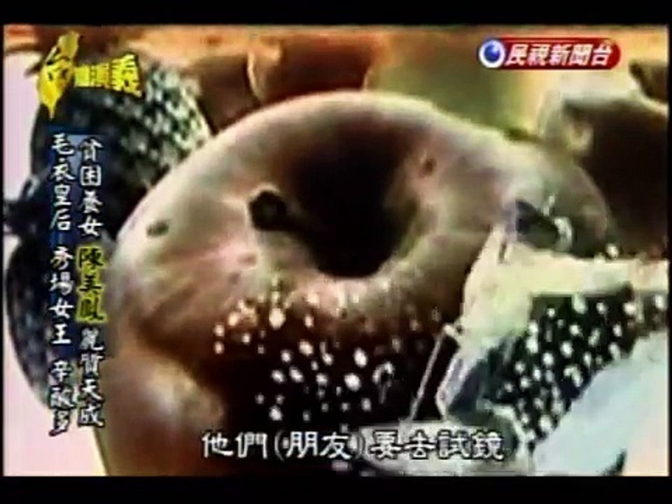 台灣演義：最美麗的歐巴桑‧陳美鳳(新)(1/3) 20120512