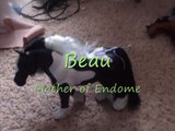 Wild Horses - Episode 1 (Breyer and other toy horses)