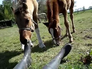 Tarzan, Jane & Mowgli