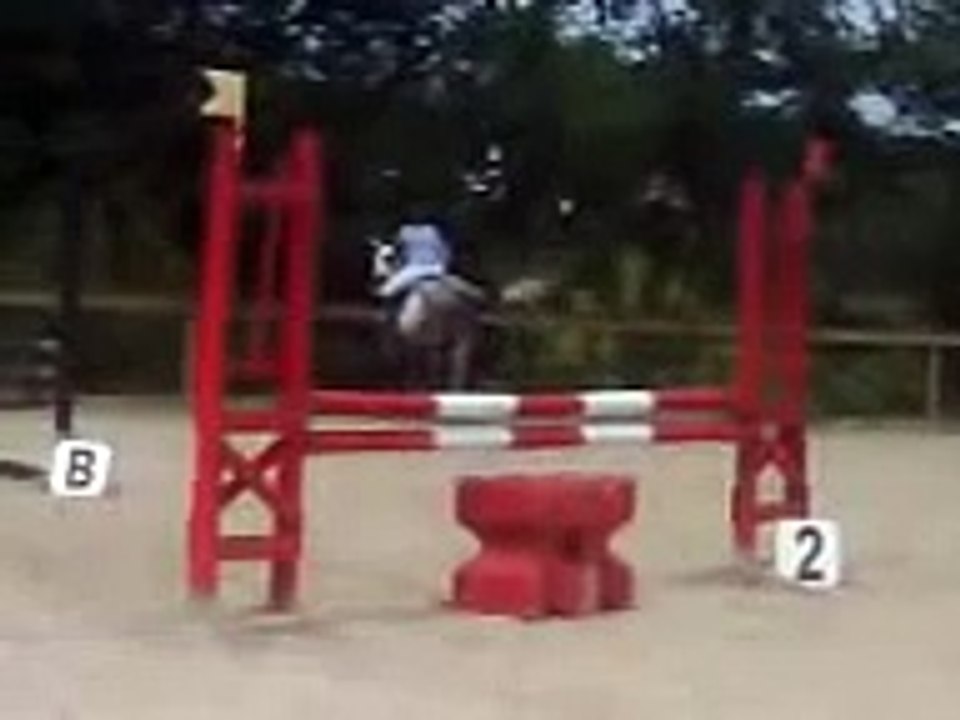 Chute de nadiacha