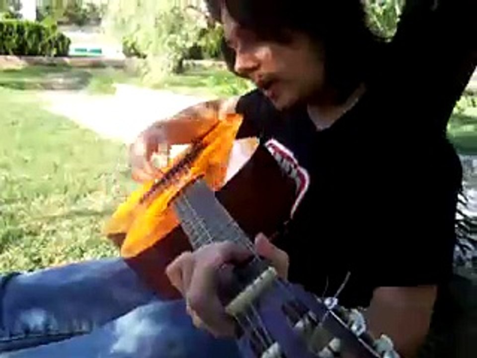 California and ducks