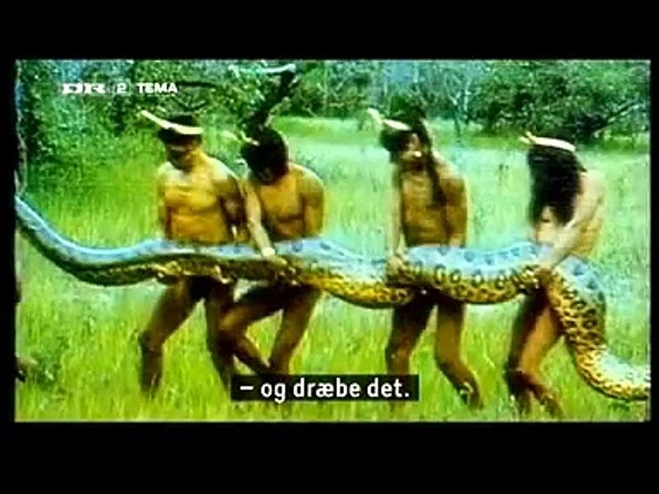 The Soccer Tribe - Desmond Morris