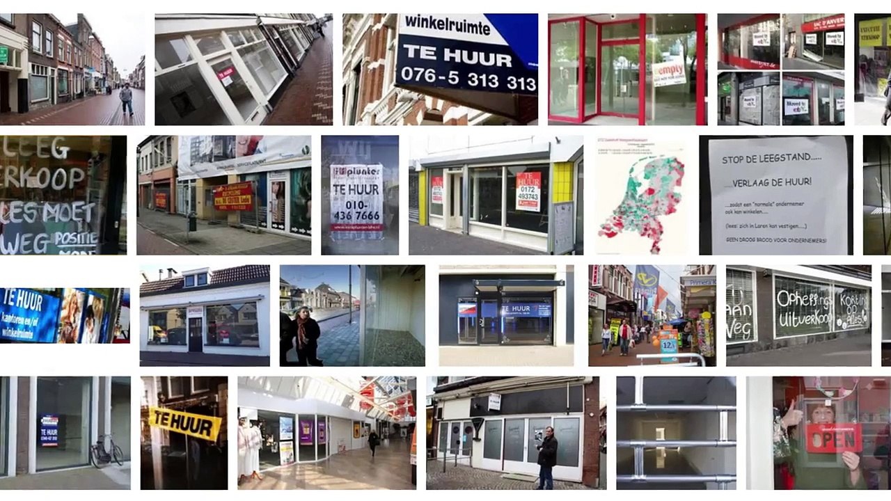 VNG Raadsinstrumenten in vogelvlucht