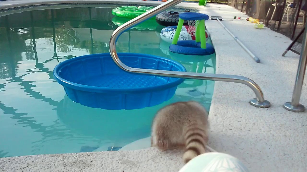 Talb alndafتسجيل الدخول الحساب أو كلمة المرور غير صحيحة. يرجى إعادة المحاولة. يرجى التحقق من رمز الدولة.   كلمة المرور   هل يتعذر عليك الوصول إلى حسابك؟ الخصوصية وملفات تعريف الارتباطشروط الاستخدام ©2015 Microsoft