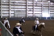 Curry Ranch Peruvian Paso Horses