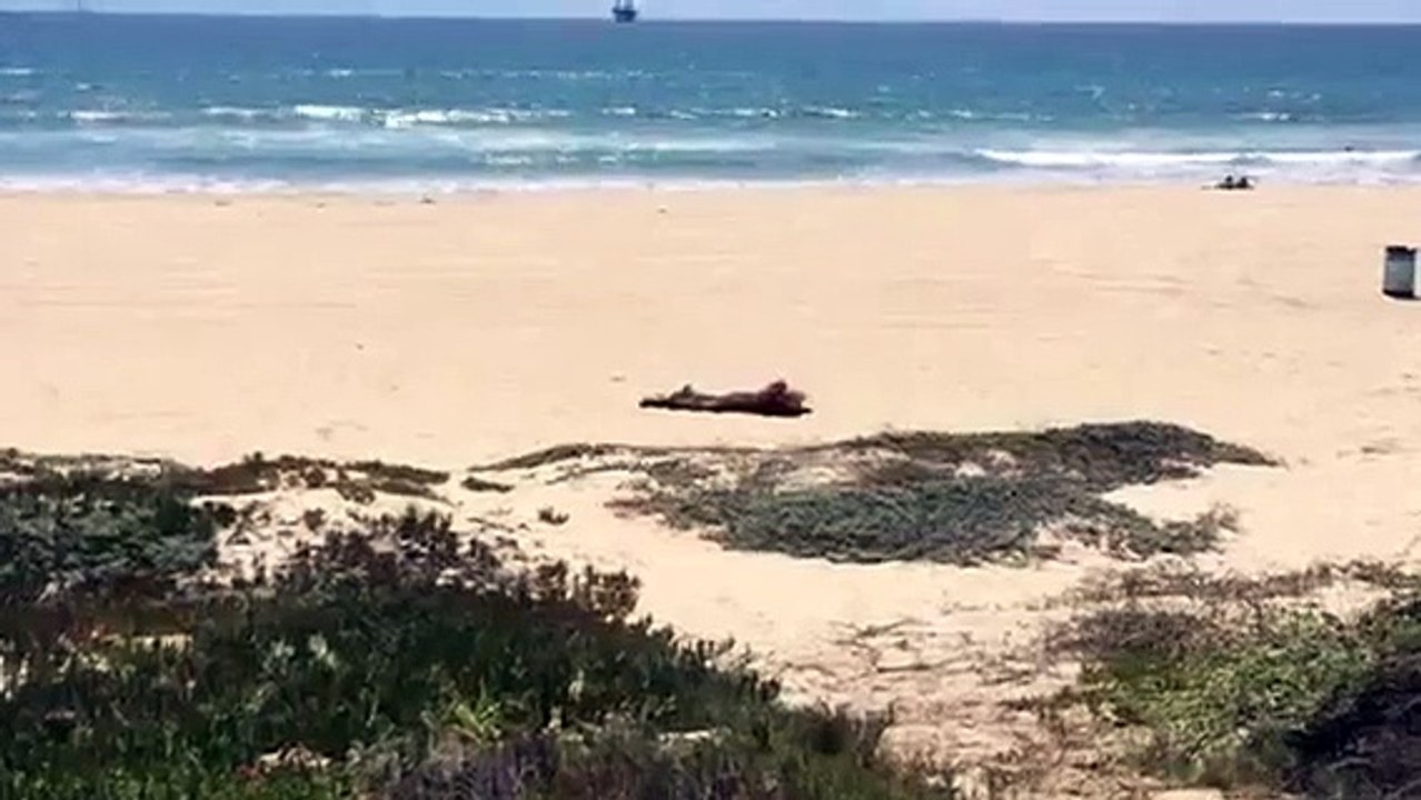 I Once Was Lost But Now I'm Found