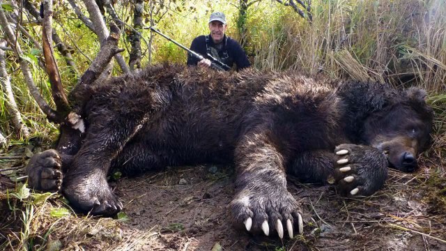 World's Biggest Animals All Time Biggest Animals Huge Animals BIG ANIMALS LARGGEST ANIMALS