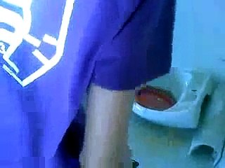 piccione a cara di roberto il rosso