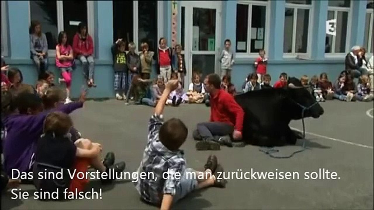Ein Stier kommt in die Schule