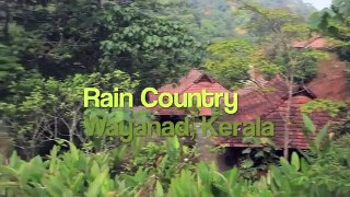 Rain Country Resort, Wayanad, Kerala
