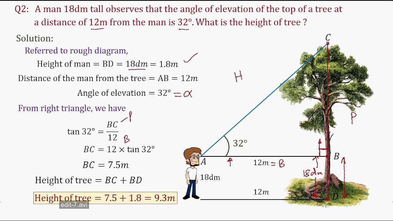 Question No. 8