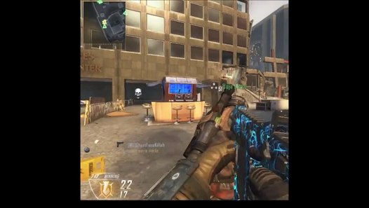 Black Ops 2 Afterlife Camo