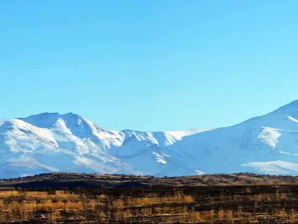Oveja karaman Blanca. Anatolia Central (Turquía)