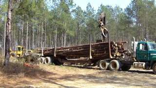 Logging in Georgia Pt 2