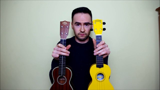 Comparer un Ukulélé à $20 avec un Ukulélé à $1000