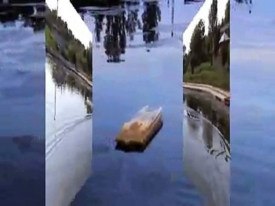 Barca momit plantat nadit