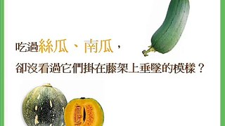 蔬果野菜圖鑑