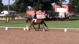 Karen and Repertoire at MODA July 2015 - First Level Test 2 68.75%