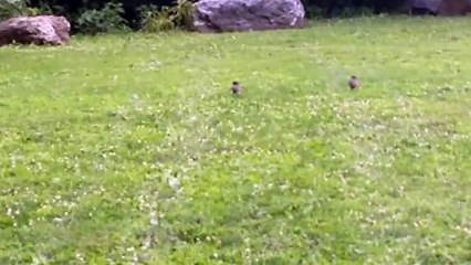 022.MOV-Theo's iPhone 5