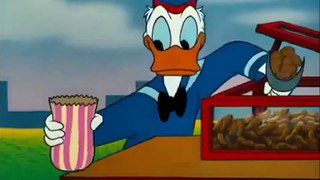 Donald Duck - The Flying Squirrel (Full Episodes)