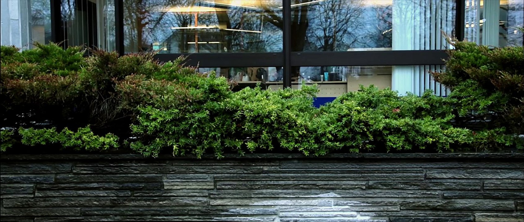 Kortfilm - Jakten på latteren (The search for laughter)