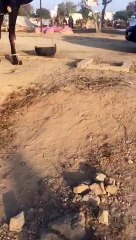 BLACK CAMEL 2015 karachi mandi