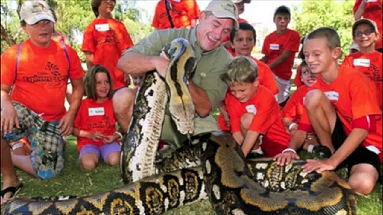 RETICULATED PYTHONS(ALL MORPHS!!!)ENJOY!!!
