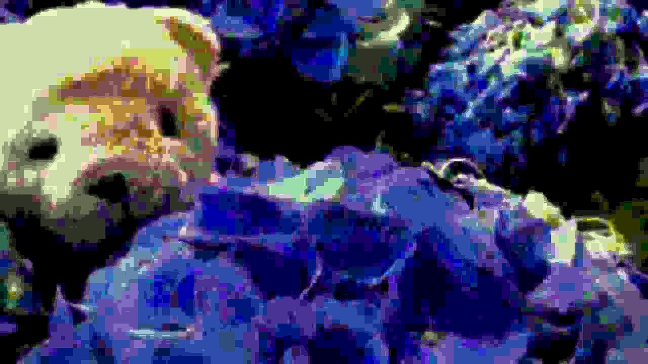 RIGHT HERE - 15 sec of happiness! - 04/07/2015 - #poem #Inspiration #philosophy