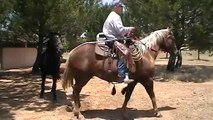 Things to Practice before you Pony Horses on Trail Rides- Rick Gore Horsemanship