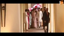 Shahid Kapoor and Mira Rajput's Wedding ( EXCLUSIVE )