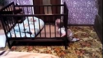 You Can't Stop this Little Cute Baby - Funny babies annoying Parents