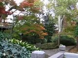 Fort Worth Japanese Gardens, Fall 2005