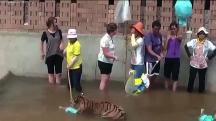 Extreme animal attacks on humans