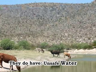 Globalize This!  Estanque de Leon Community