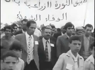 Explore Algeria's Rich History & Videos 🇩🇿