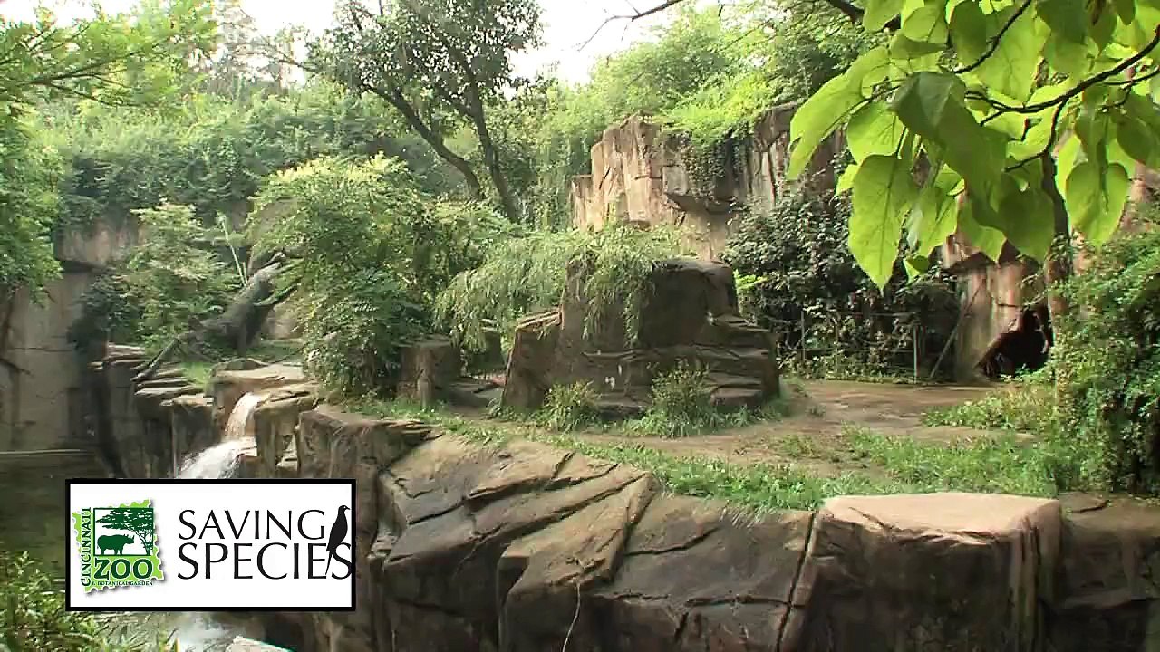 Cell Phone Recycling-Cincinnati Zoo