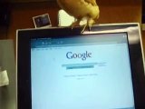 chicken pecking monitor