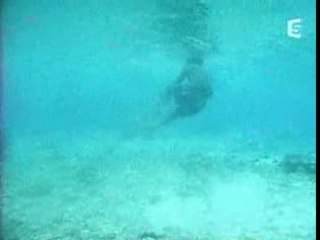 Requin pris au lasso !