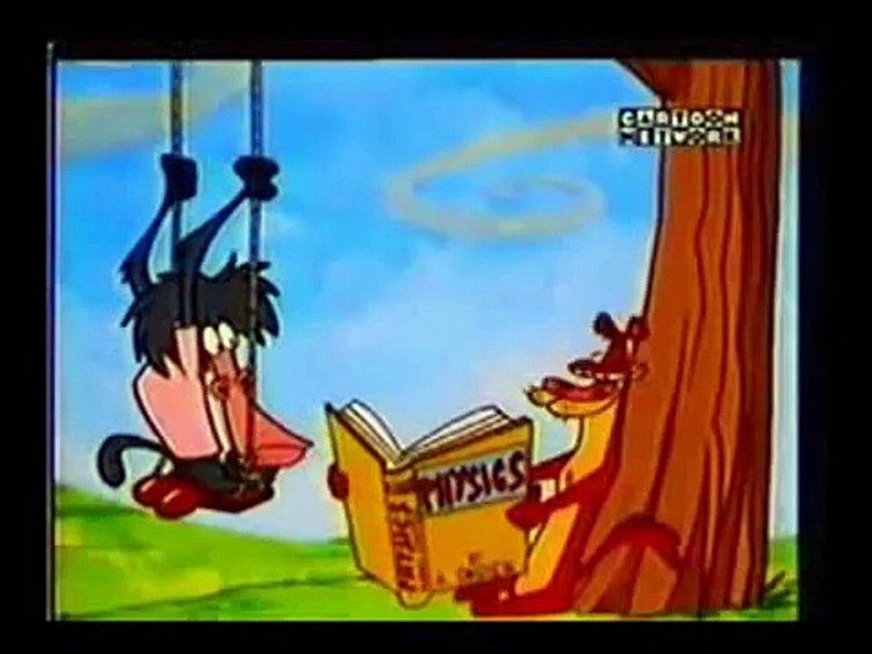 I Am Weasel  | HINDI DUBBED | OLD Cartoon Network India  |