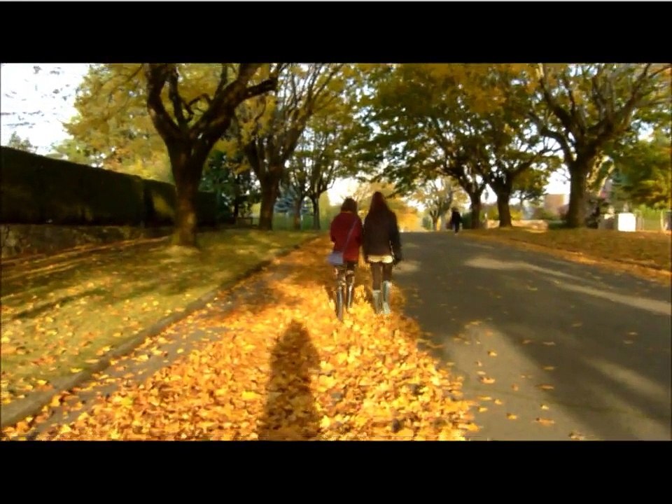 UBC Exchange 2011/12