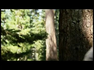 Best Of Star Trek 5 Rifftrax The Final Frontier